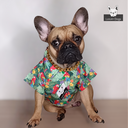 CAMISA HAWAIANA LUXURY DOGS