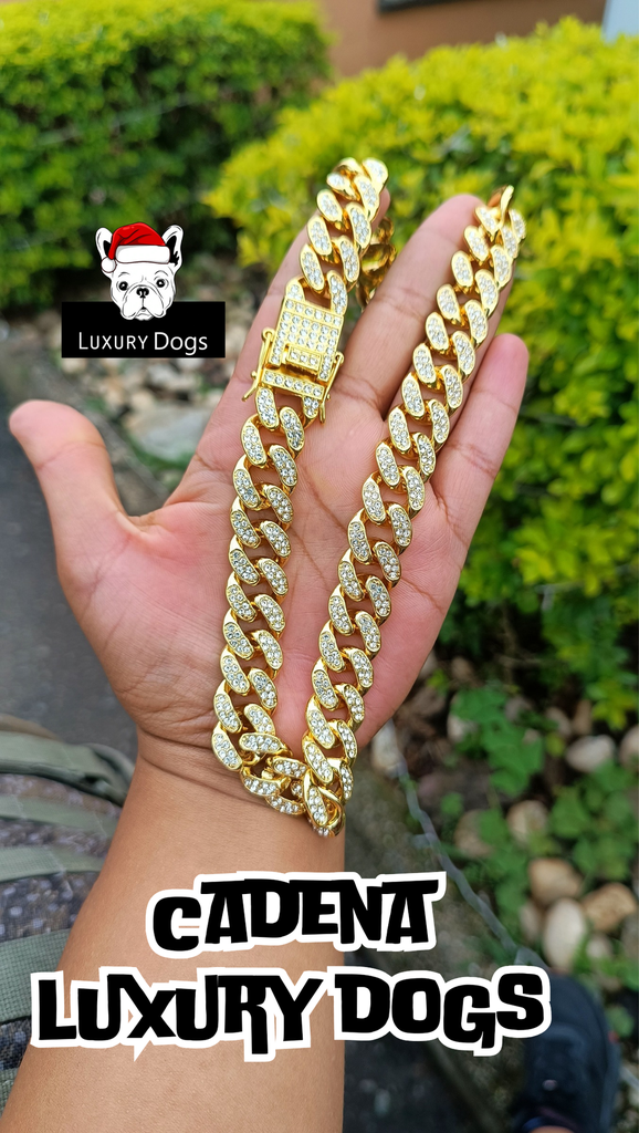 CADENA LUXURY DOGS MÓNACO