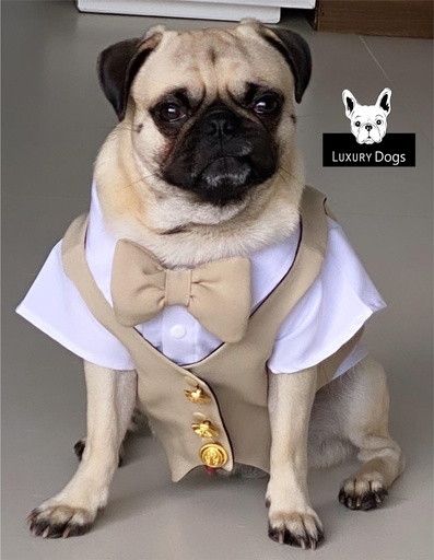 SMOKING LUXURY DOGS PARA PERROS