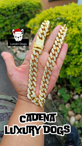 CADENA LUXURY DOGS MÓNACO